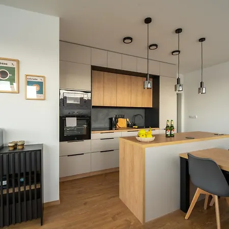 Zlata Kabelka Apartment Plzen